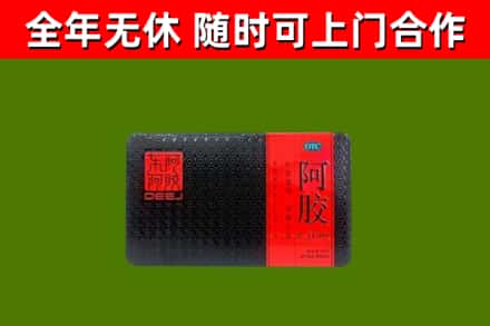 镇巴县回收阿胶